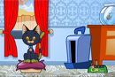 Kedi Bak�m�